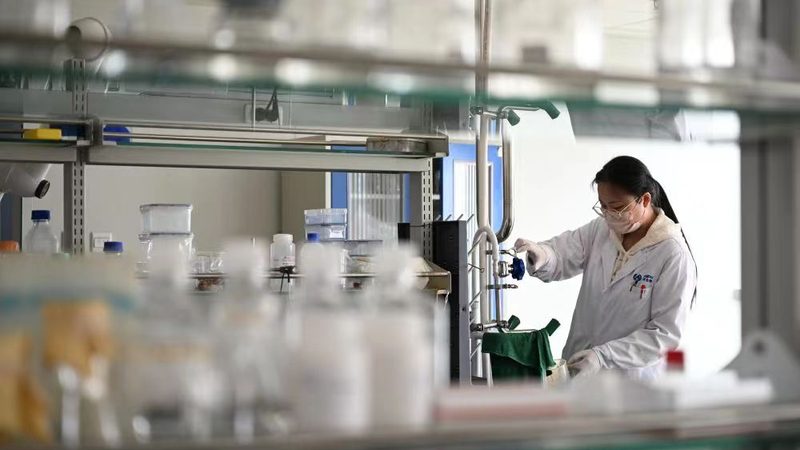 上海药用辅料空心胶囊：关键环节与选型要点**
