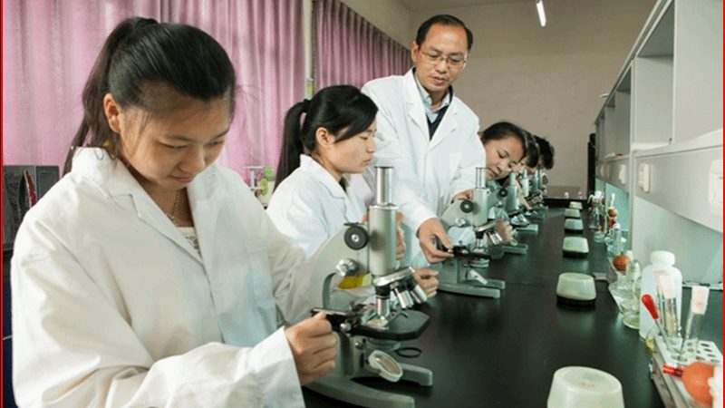 中药饮片OEM代工，价格背后的考量因素**