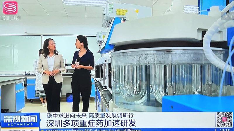 食品级药用辅料：品质与安全的双重保障